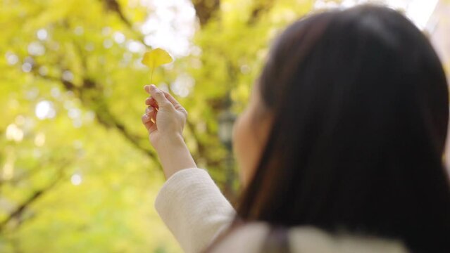 Asian woman holding yellow ginkgo biloba leaf with sunlight passing through the tree in autumn morning. Attractive girl relax and enjoy outdoor lifestyle travel nature at park in Tokyo city, Japan.