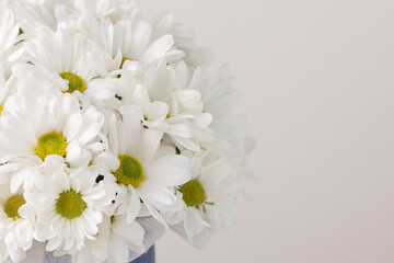 Beautiful bouquet of chamomile flowers on white background