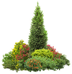 Cutout flowerbed. Plants and flowers isolated on transparent background. Flower bed for garden design. Luxurious foliage of green bushes and shrubs