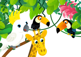 cartoon scene with jungle and animals and parrot bird being together as frame illustration for children
