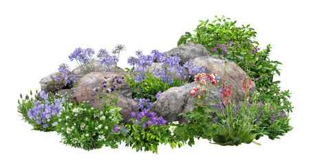 Cutout rock surrounded by flowers. Garden design isolated on transparent background. Flowering shrub and green plants for landscaping. Decorative shrub and flower bed - obrazy, fototapety, plakaty