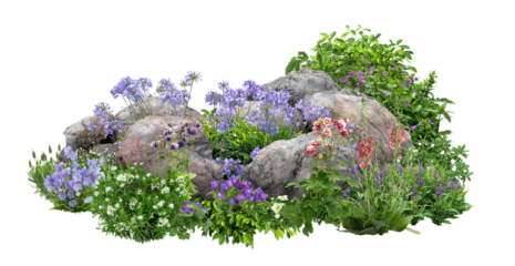 Cutout rock surrounded by flowers. Garden design isolated on transparent background. Flowering shrub and green plants for landscaping. Decorative shrub and flower bed