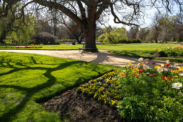 Beautiful view of Castlemaine Botanical Garden with clean and neat grass lawn, flowers , large open outdoor space, and some people sitting on the ground to enjoy sunshine. Victoria Australia.