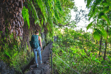 Naklejka na ściany i meble Woman walking along green rainforst hike trail overgrown with plants. Levada of Caldeirão Verde, Madeira Island, Portugal, Europe.