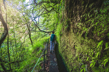 Female toursit hiking along green rainforst hike trail overgrown with big branches. Levada of...