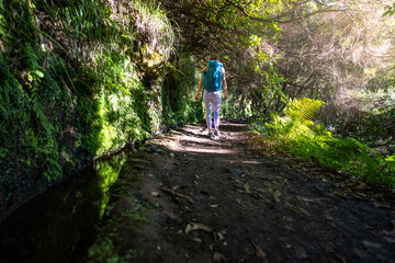 Fototapeta premium Backpacker toursit hikes along sunny rainforst water channel trail overgrown with trees. Levada of Caldeirão Verde, Madeira Island, Portugal, Europe.
