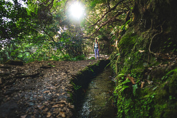Low angle shot of female toursit walking along sunny rainforst water channel trail overgrown with trees. Levada of Caldeirão Verde, Madeira Island, Portugal, Europe.