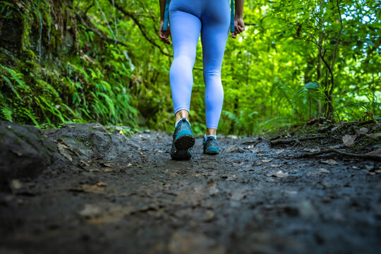 Low angle shot of toursit legs walking on green rainforst water channel trail overgrown with plants. Levada of Caldeir&atilde;o Verde, Madeira Island, Portugal, Europe.