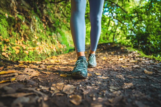 Low angle shot of toursit legs walking along sunny rainforst water channel trail overgrown with trees. Levada of Caldeir&atilde;o Verde, Madeira Island, Portugal, Europe.