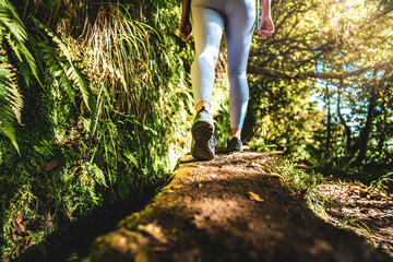 Low angle shot of toursit legs walking along wall of water channel in green rainforest. Levada of...