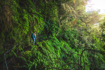 Obraz premium Female backpacker toursit walking along scenic rainforst water channel trail which is overgrown with plants. Levada of Caldeirão Verde, Madeira Island, Portugal, Europe.