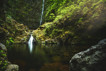 Long exposure of picturesque pool with green plants and large fern overgrown rainforest waterfall...