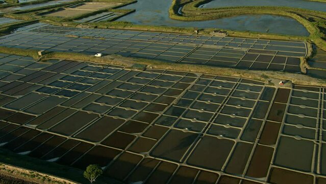 vue a&eacute;rienne d'une parcelle dans les marais salants de gu&eacute;rande