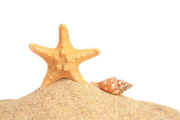 Beautiful sea star, shell and sand isolated on white