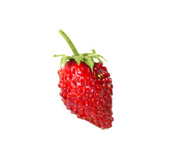 One ripe wild strawberry isolated on white