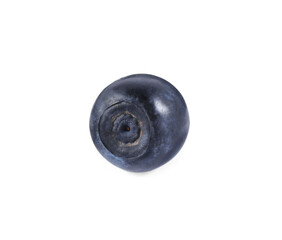 One tasty ripe bilberry isolated on white