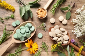 Fototapeta na wymiar Different pills, herbs and flowers on wooden table, flat lay. Dietary supplements
