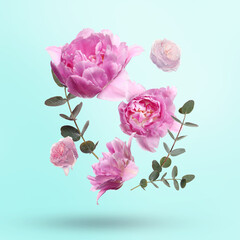 Beautiful pink flowers and green leaves falling on light blue background