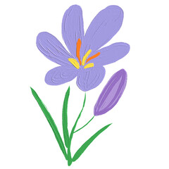 Saffron flower oil paint illustration