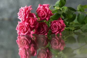 バラの花　室内スタジオ撮影