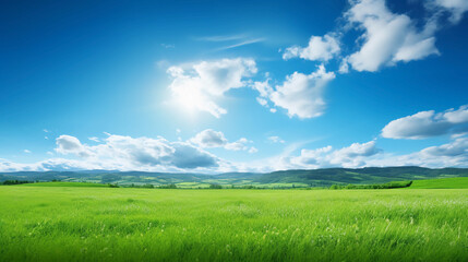 Fototapeta na wymiar Green meadow under beautiful blue sky 