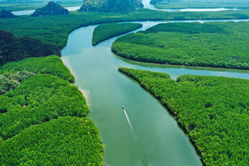 Thai long tail boat sails through the mangrove jungles in Phang Nga Bay, Thailand