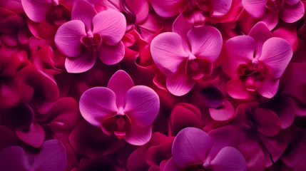 Foto op Canvas Abstract background with pink orchid flowers © Harshal