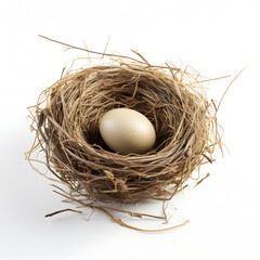 Bird egg in nest isolated with white background. Generative ai. 