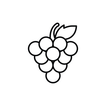 grape icon. outline icon
