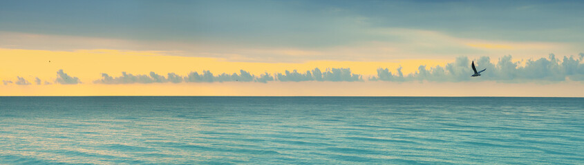 sea horizon in the early morning,