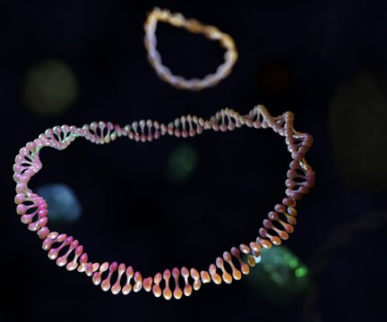 Multiple DNA plasmids inside of bacteria 3d rendering