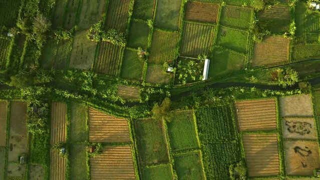 Farm And River Drone Video Shot