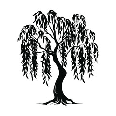 Willow tree, black silhouette on a transparent background - obrazy, fototapety, plakaty
