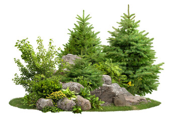 Cutout stones surrounded by fir trees and green plants. Garden design isolated on transparent...