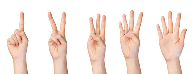 Hand showing count from one to five fingers signs on isolated background.