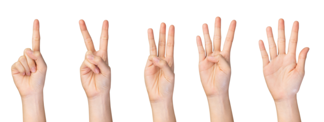 Hand showing count from one to five fingers signs on isolated background.