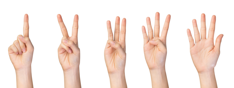 Hand showing count from one to five fingers signs on isolated background.