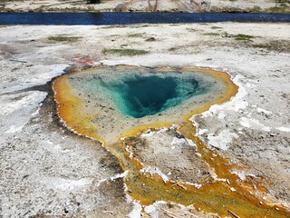 geyser in Yellowstone national park