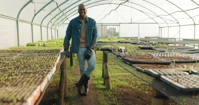 Smile, greenhouse and face of a black man for farming, agriculture or sustainability in nature. Happy, portrait and an African farmer on a field for eco friendly or carbon capture environment
