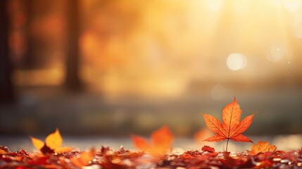 Naklejka na ściany i meble Autumn background orange gold and red maple leaves on nature illustration background, Generative AI