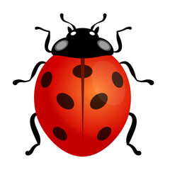 ladybug vector illustration cartoon logo icon clipart isolated on white background