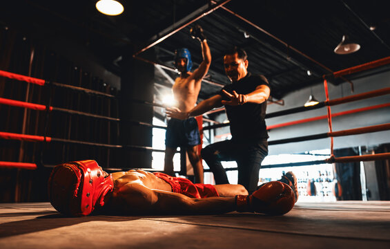 Boxing referee intervene, halting the fight to check fallen competitor after knock out. Referee pauses the action for boxer fighter's safety after KO with winner posing in background. Impetus