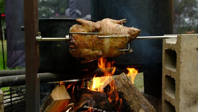 Slow motion of whole duck being slowly scorched by flames from fire pit while meat skewed on automatic rotisserie.
