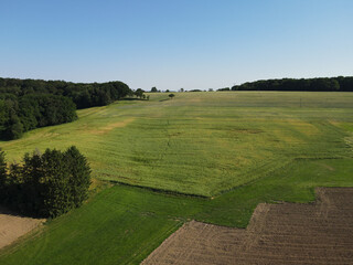Aerial view of a agriculture hill with green crop fields, plowed fields with dirt, forest trees and a nice blue sky in spring 