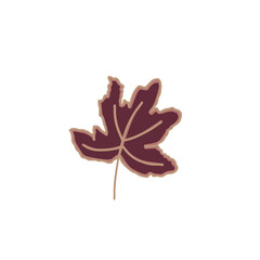 leaf isolated on white