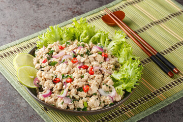 Larp or Laab gai or larb gai spicy salad breast chicken with herb closeup on the plate on the table. Horizontal