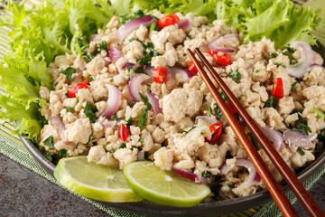 Thai Larb Gai salad made with ground chicken, red onion and fresh herbs closeup on the plate on the table. Horizontal