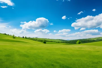 Door stickers Meadow, Swamp Sky and grass background, fresh green fields under the blue sky in spring