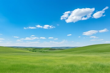 Fototapeta premium Sky and grass background, fresh green fields under the blue sky in spring