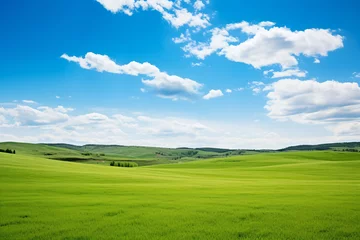 Photo sur Aluminium Prairie, marais Sky and grass background, fresh green fields under the blue sky in spring